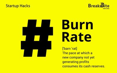 Understanding Burn Rate: The Lifeline of Your Startup’s Financial Health